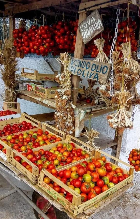 B&B La Strea Porto Cesareo Ngoại thất bức ảnh