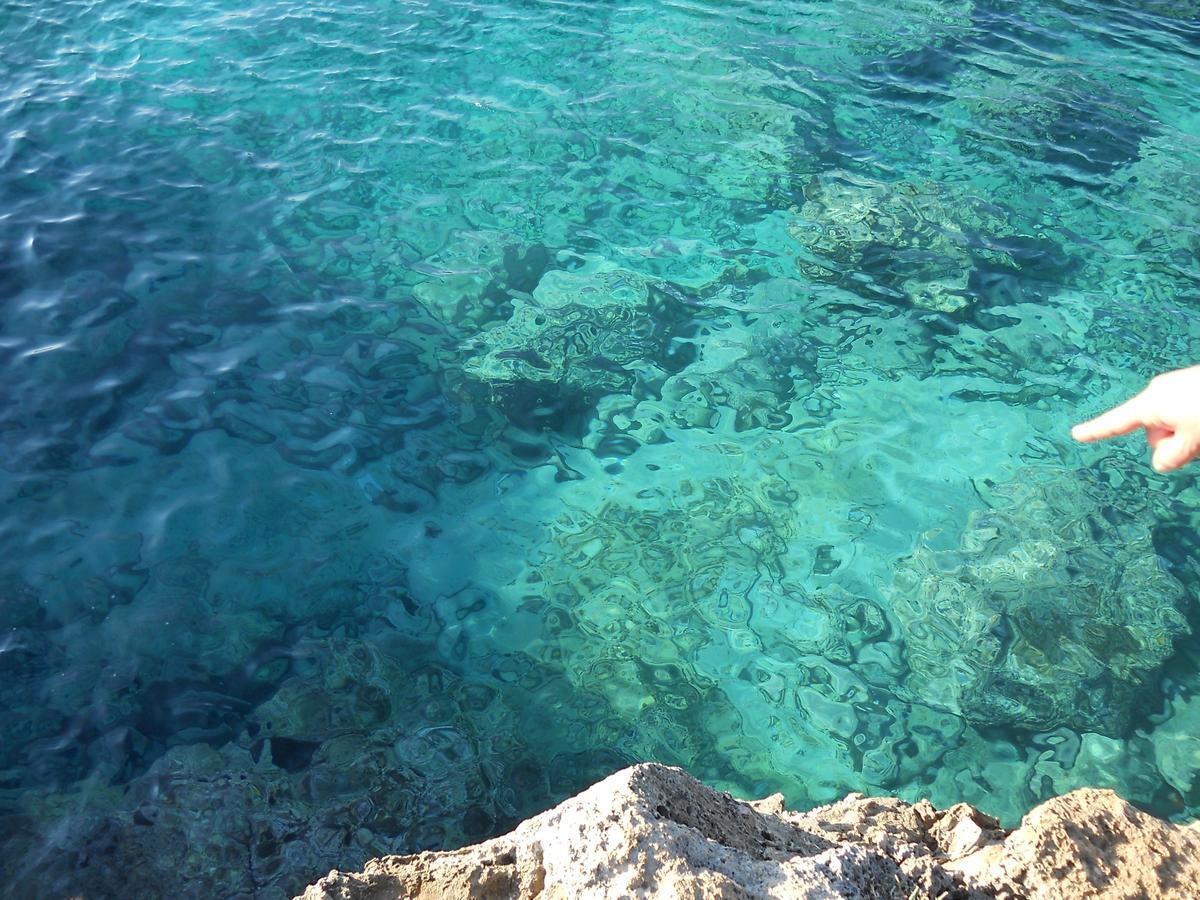 B&B La Strea Porto Cesareo Ngoại thất bức ảnh
